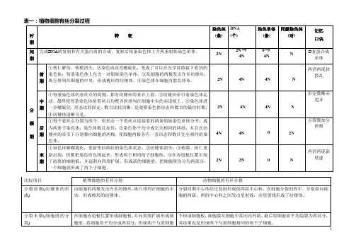 有丝和减数分裂比较