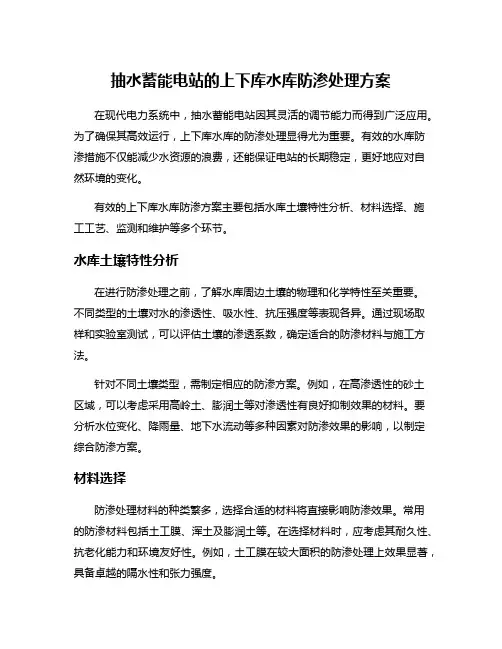 抽水蓄能电站的上下库水库防渗处理方案