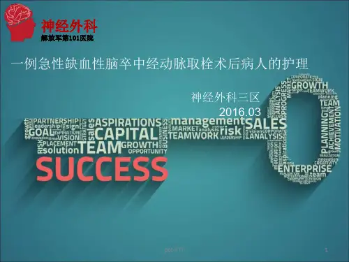 动脉取栓  ppt课件