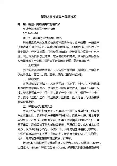 新疆大田辣椒高产栽培技术