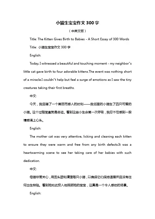 小猫生宝宝作文300字
