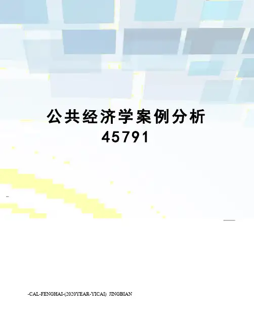 公共经济学案例分析45791