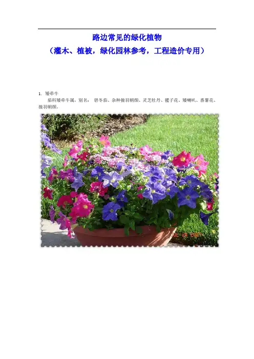路边常见的绿化植物 00余种(灌木、植被,绿化园林参考,工程造价专用)