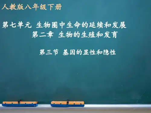 初中八年级下册生物《基因的显性和隐性》课件