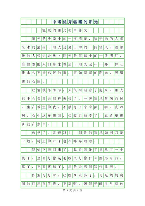 2019年中考优秀作文600字温暖的阳光