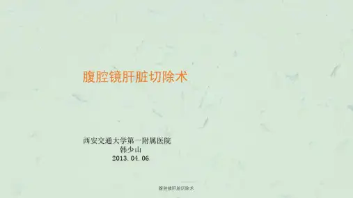 腹腔镜肝脏切除术课件