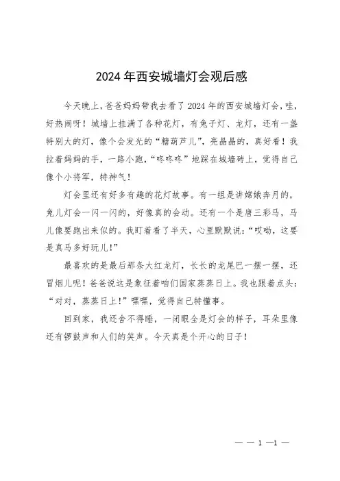 2024年 西安 城墙灯会 观后感