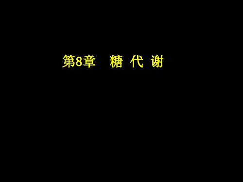 生物化学教学课件：08 Carbohydrate Metabolism (2010)