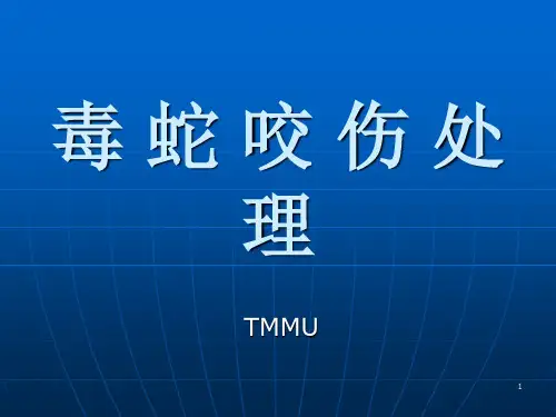 毒蛇咬伤处理ppt课件