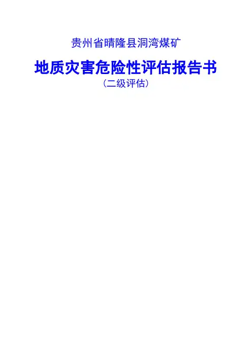 地质灾害危险性评估报告书