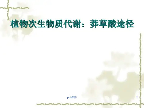 莽草酸途径  ppt课件