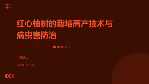 红心柚树的栽培高产技术与病虫害防治