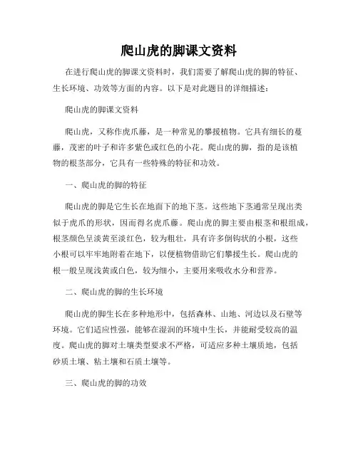 爬山虎的脚课文资料