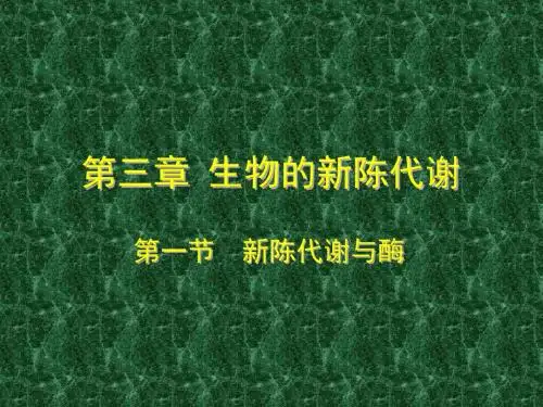 新陈代谢与酶 PPT课件 人教版