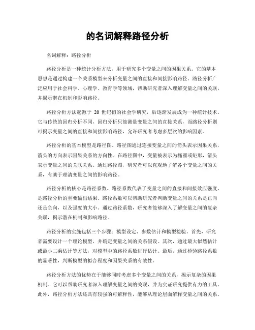 的名词解释路径分析