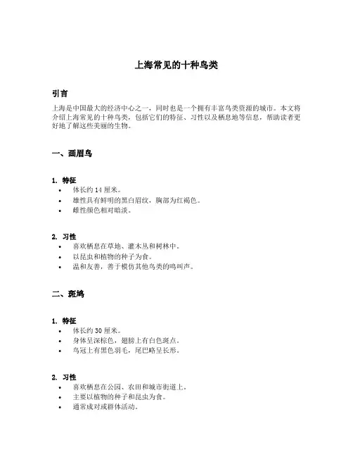 上海常见的十种鸟类