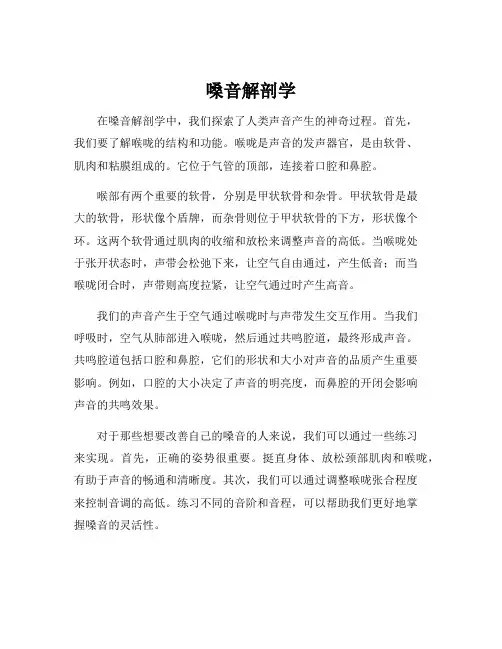 嗓音解剖学