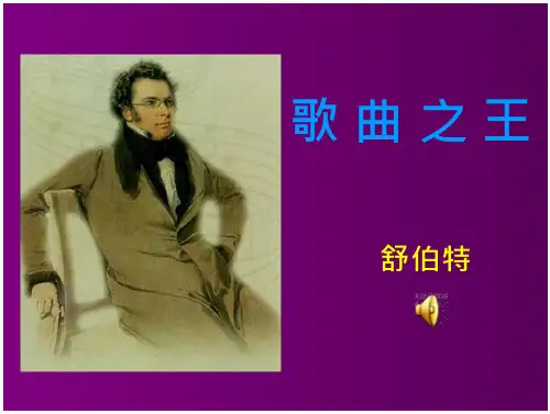 舒伯特正式版(28页)