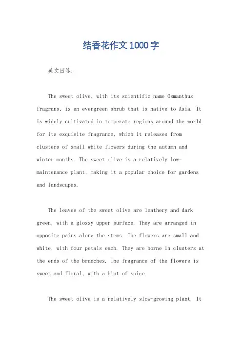 结香花作文1000字