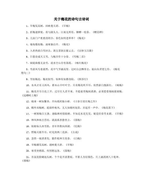 关于梅花的诗句古诗词