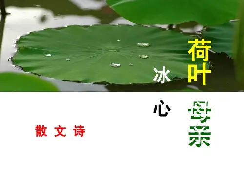 人教部编版七年级上册第7课《散文诗二首——荷叶母亲》课件