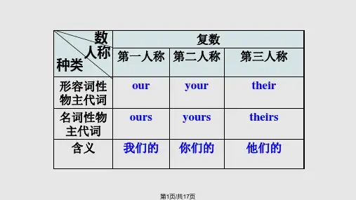 物主代词讲解及练习PPT课件