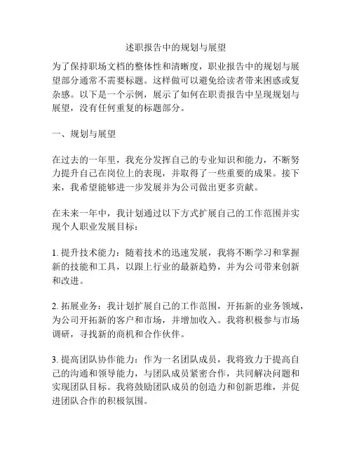 述职报告中的规划与展望