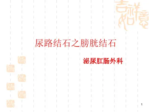 膀胱结石病人的护理PPT课件