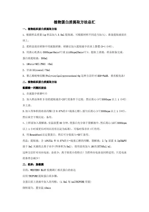 植物蛋白质提取方法总汇
