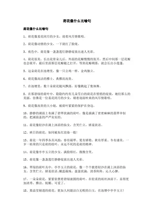 荷花像什么比喻句
