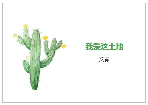 第3课《我爱这土地》课件(共20张PPT) 统编版语文九年级上册