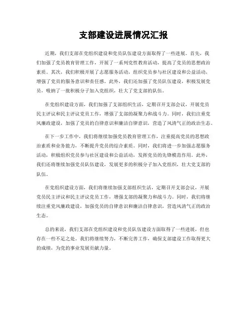 支部建设进展情况汇报