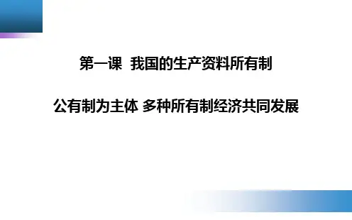 《公有制为主体多种所有制经济共同发展》PPT课件