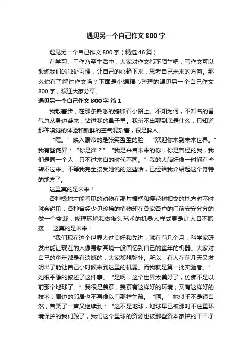 遇见另一个自己作文800字