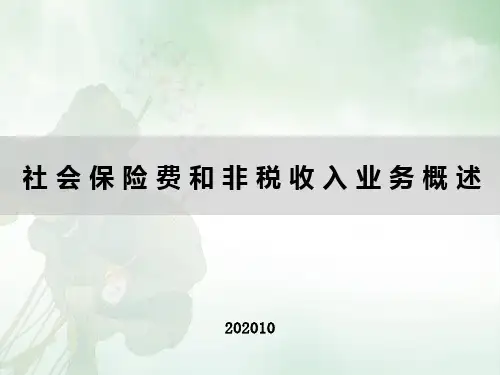 社保费和非税收入课件