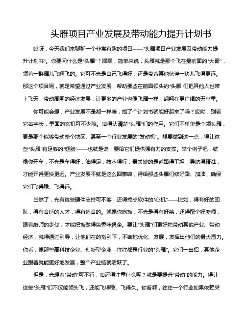 头雁项目产业发展及带动能力提升计划书