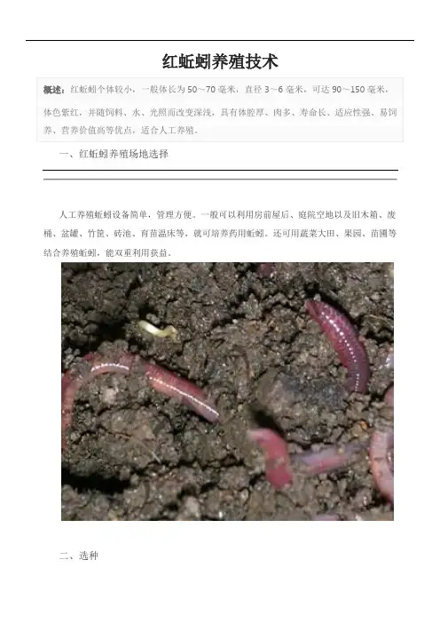 红蚯蚓养殖技术