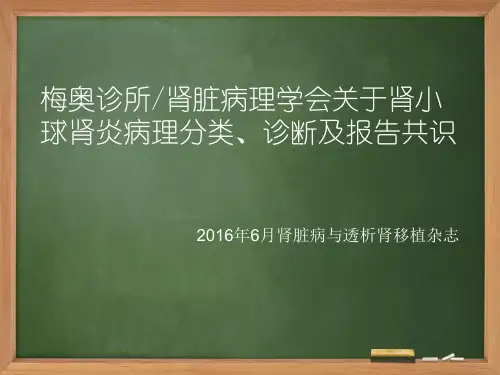 梅奥诊所／肾脏病理学会关于肾小球肾炎病理分类、诊断及报告共识