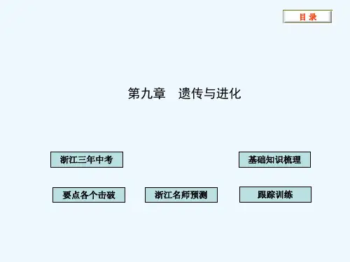 中考科学第九章遗传与进化精品课件