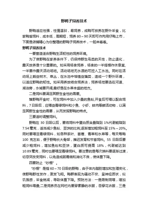 野鸭子饲养技术
