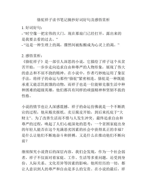 骆驼祥子读书笔记摘抄好词好句及感悟赏析