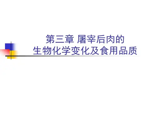 食品工艺-食品加工-肉制品部分—第三章 肌肉生物化学及宰后变化