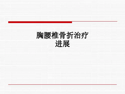 胸腰椎骨折治疗进展ppt课件