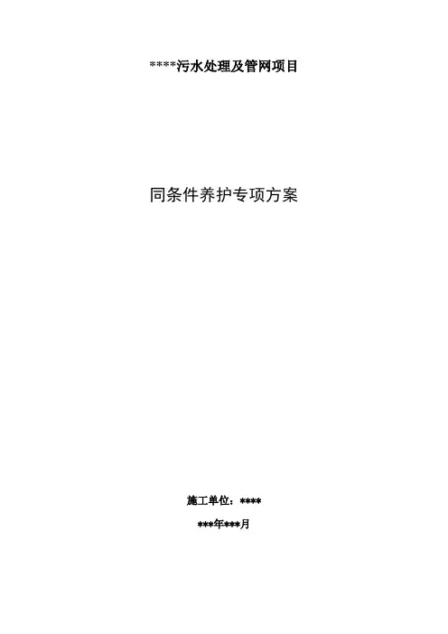 同条件养护专项方案