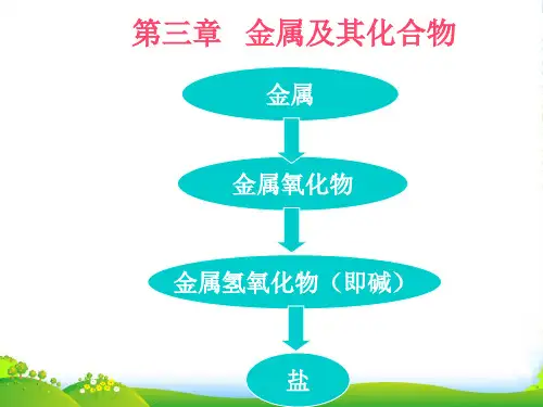 人教版化学必修1第三章第一节金属的化学性质(共34张PPT)