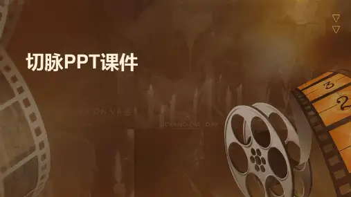 切脉ppt课件