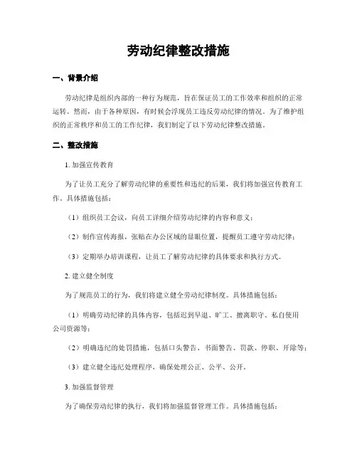 劳动纪律整改措施
