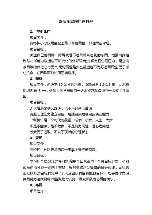 素质拓展项目有哪些