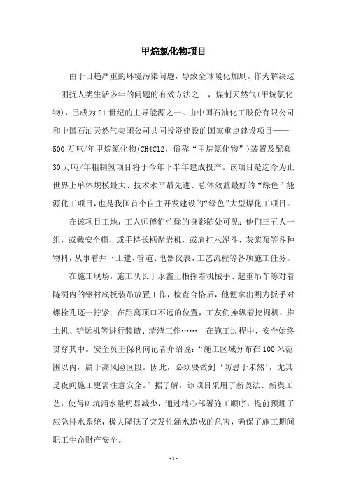 甲烷氯化物项目