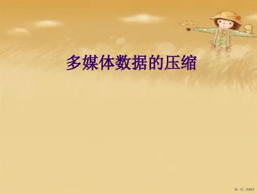 多媒体数据的压缩